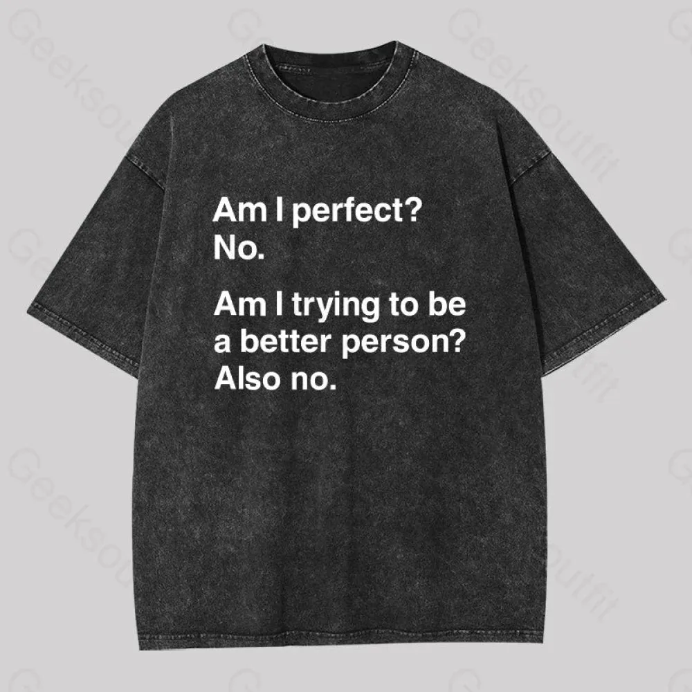 Am I Perfect No Washed T-shirt