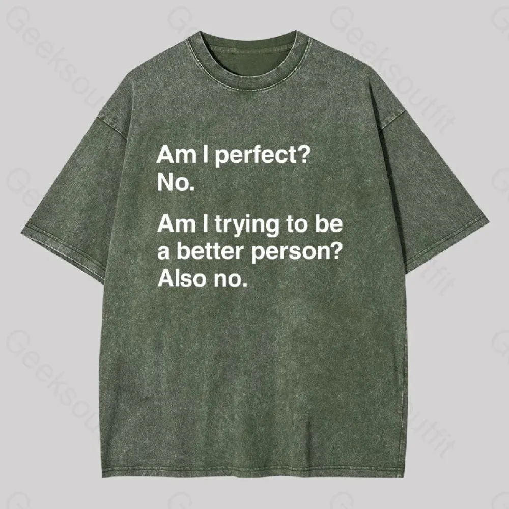 Am I Perfect No Washed T-shirt