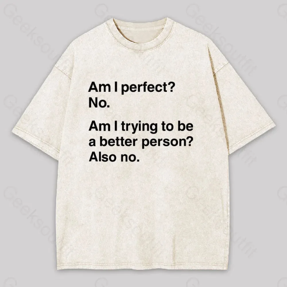 Am I Perfect No Washed T-shirt