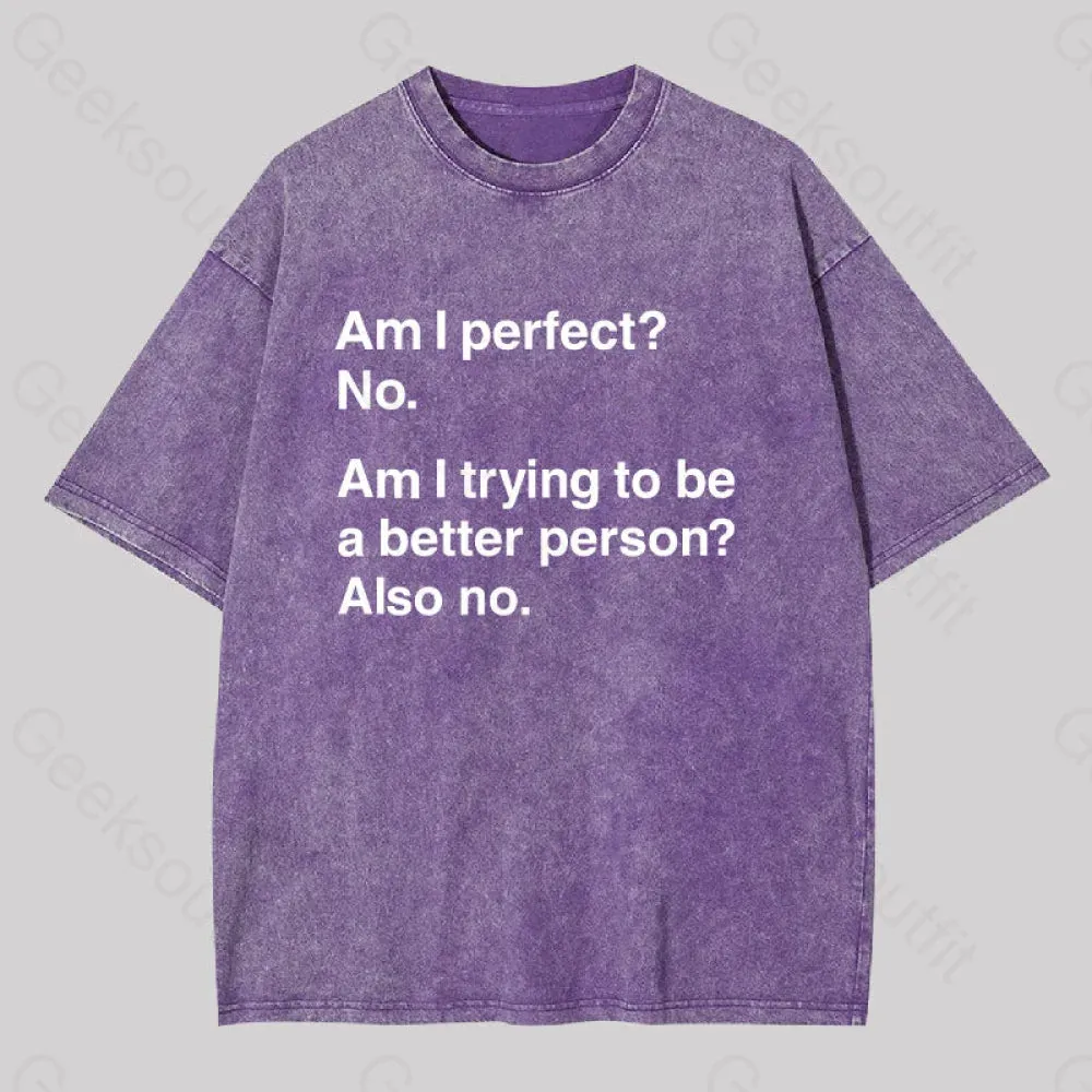 Am I Perfect No Washed T-shirt