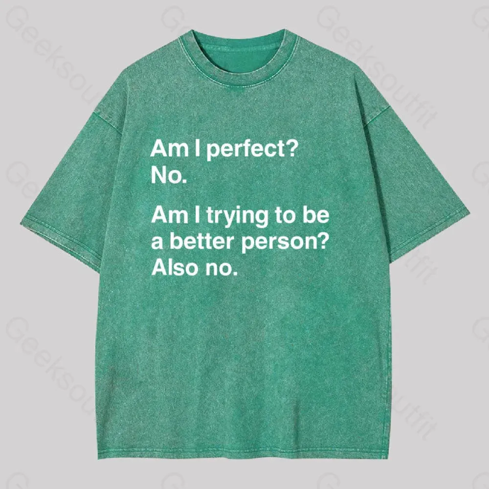 Am I Perfect No Washed T-shirt