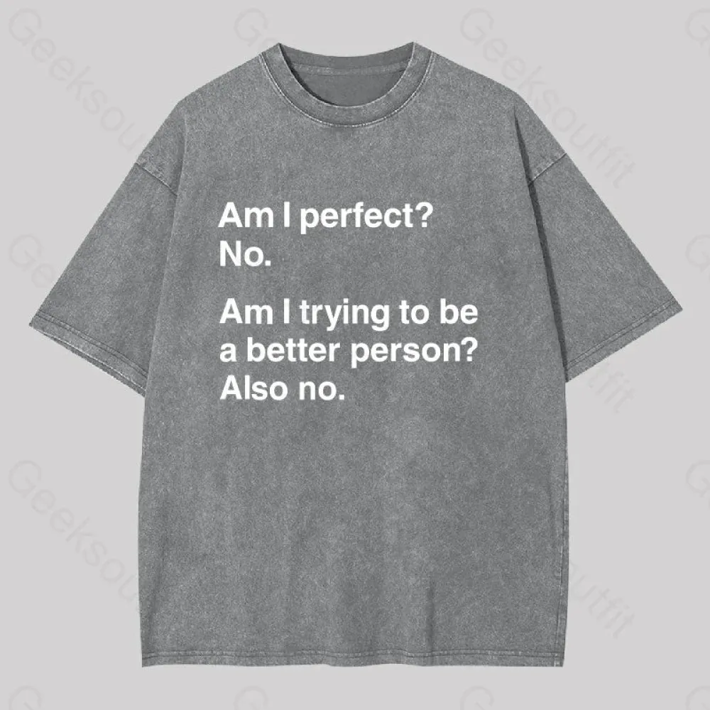 Am I Perfect No Washed T-shirt