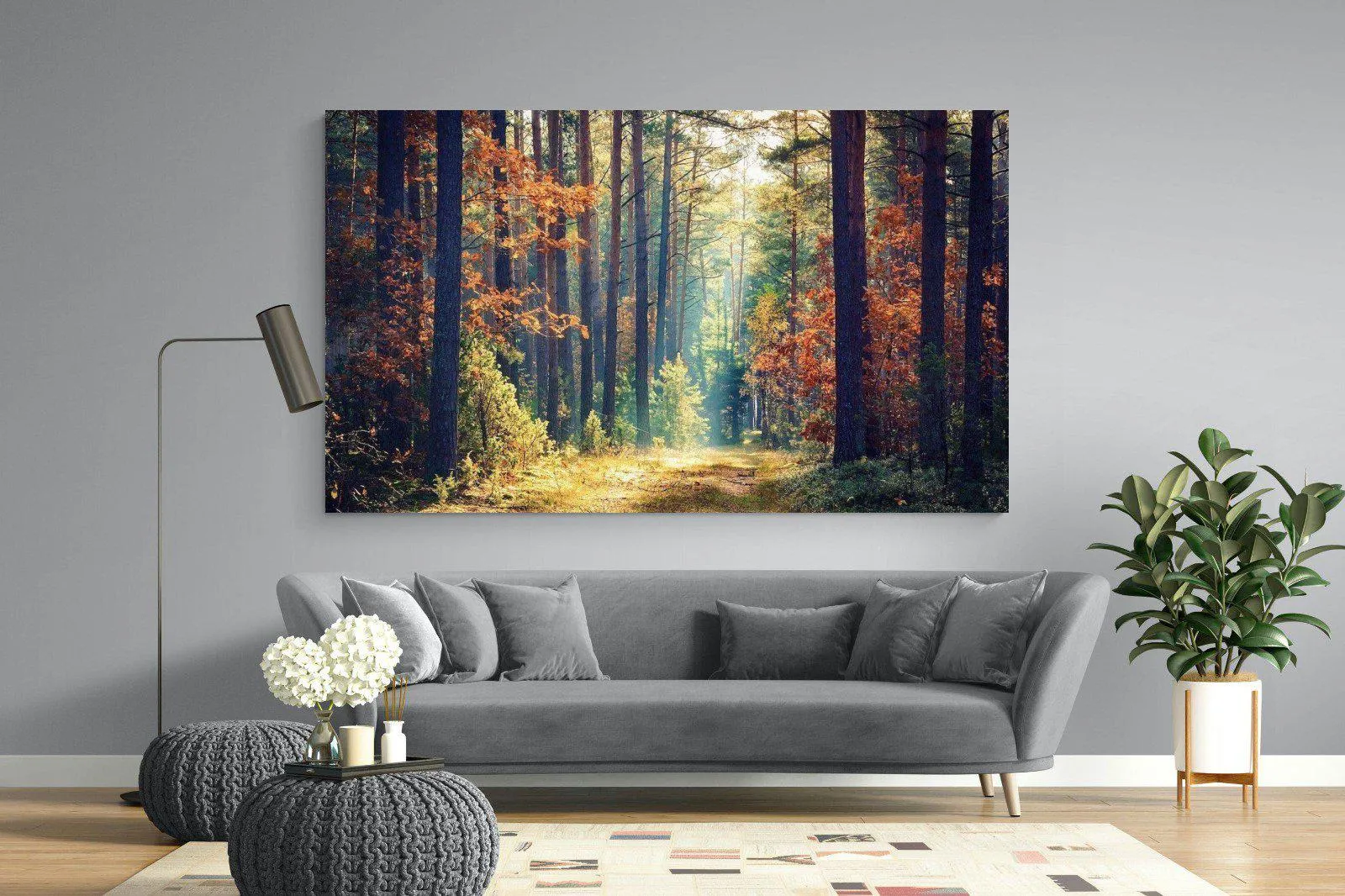 Autumn Forest