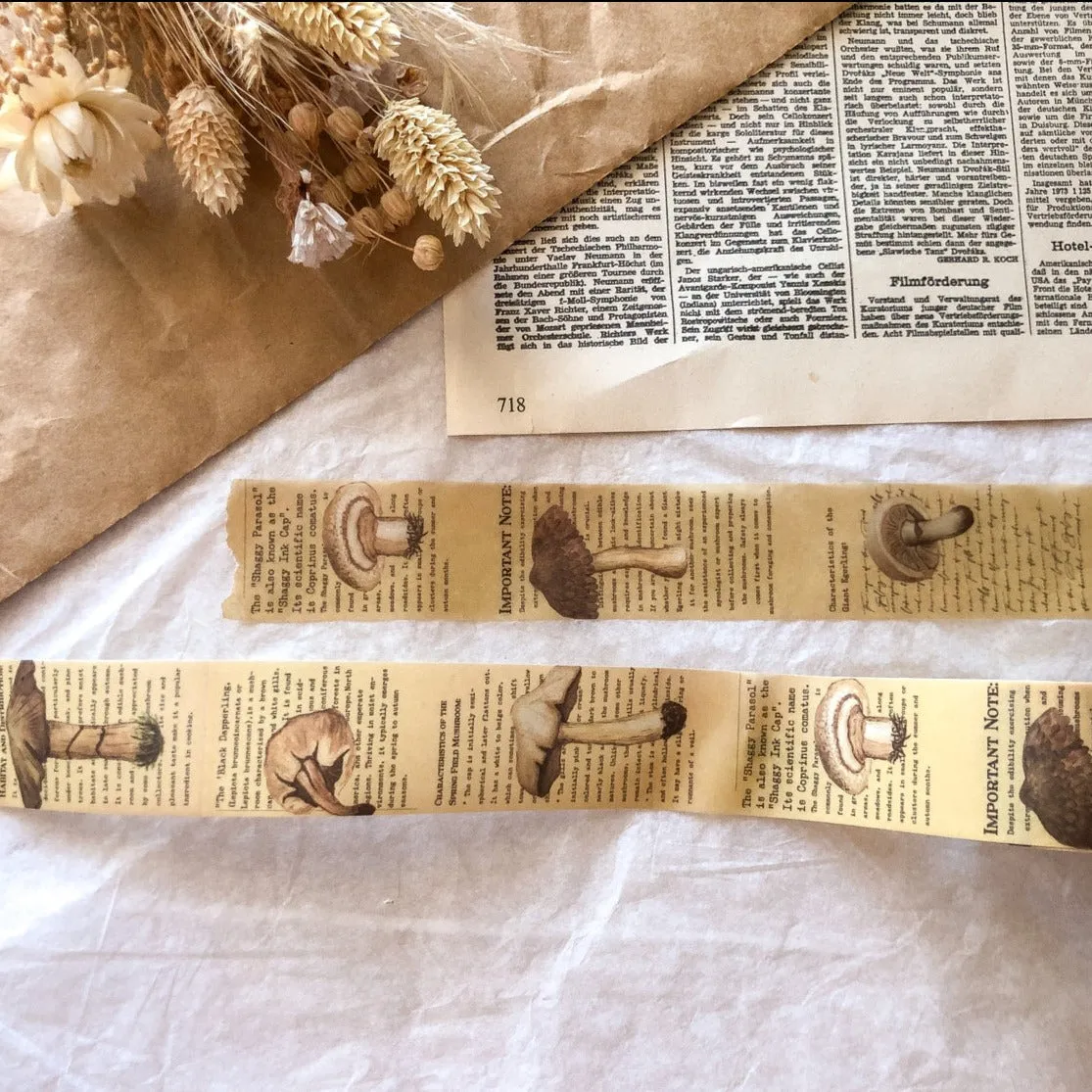 Autumn Mushroom Vellum Tape