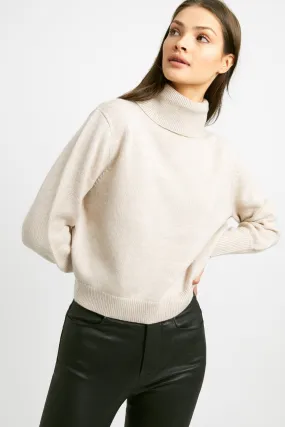 Autumn Turtle Neck Jumper