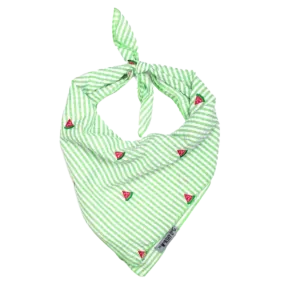 Bandana | Green Stripe Watermelon