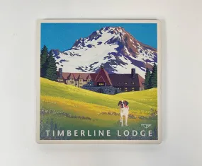 Coaster - Spring Lodge