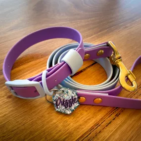 Puppy Pack - Collar, Lead and Custom Tag (MINIMUM ORDER IS 3 PACKS)